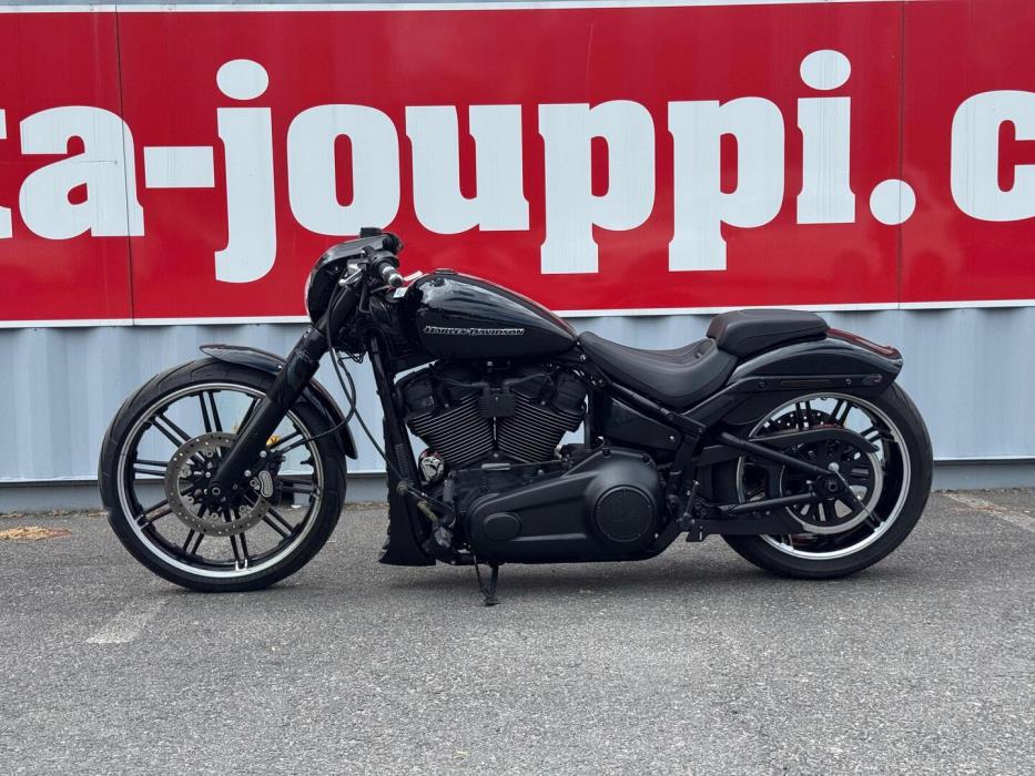HARLEY-DAVIDSON Softail 2019