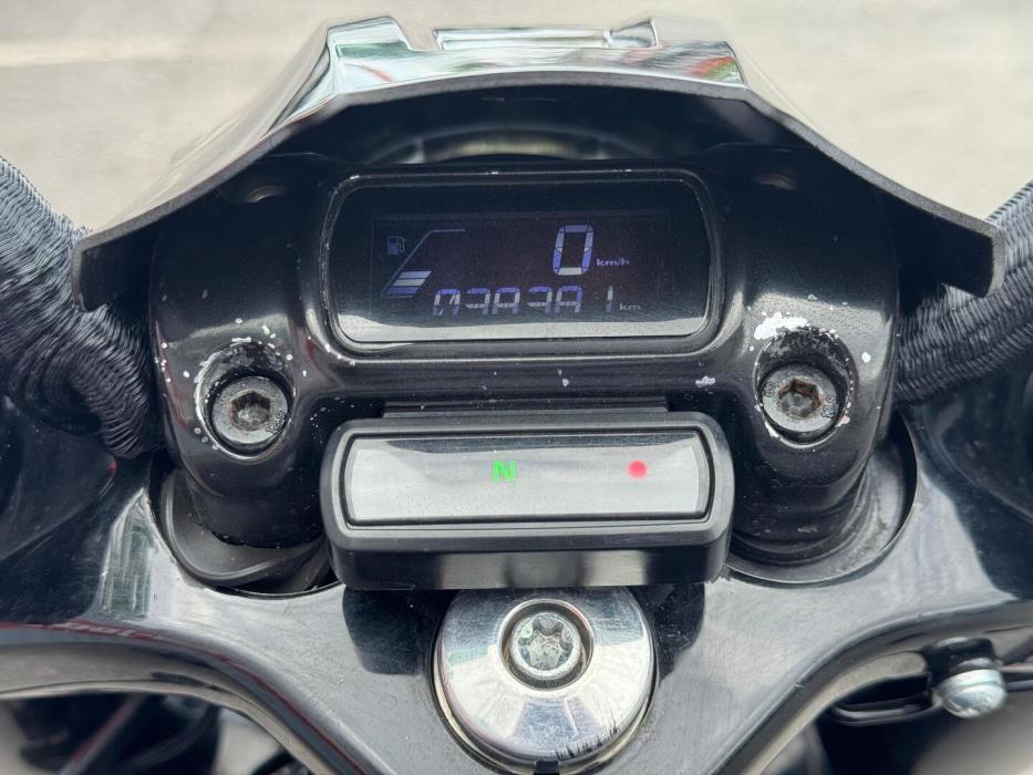 HARLEY-DAVIDSON Softail 2019