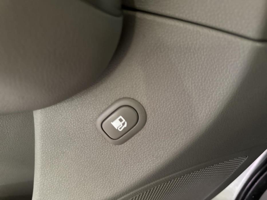 KIA Carnival 2010