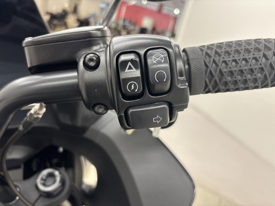 HARLEY-DAVIDSON SOFTAIL 2023