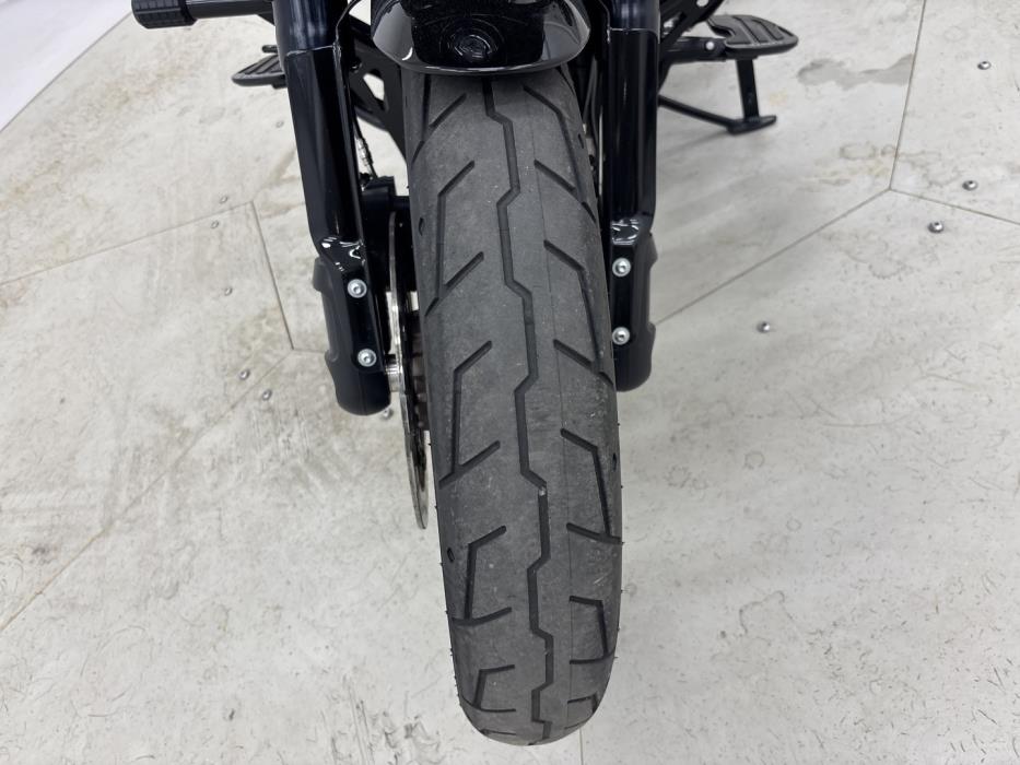 HARLEY-DAVIDSON SOFTAIL 2023