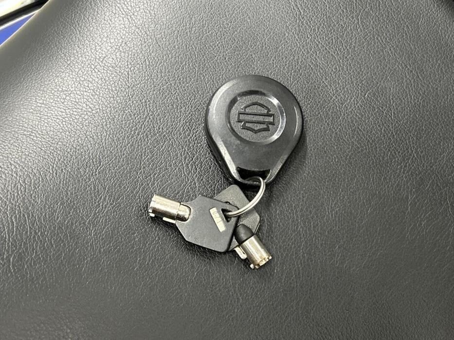 HARLEY-DAVIDSON Touring 2009