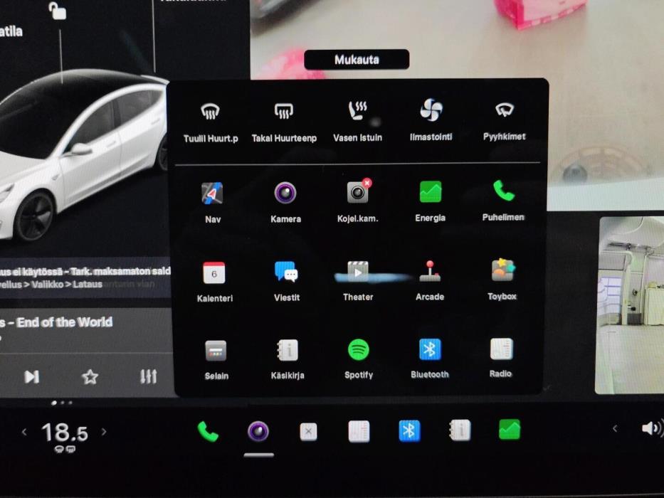 TESLA MODEL 3 2019