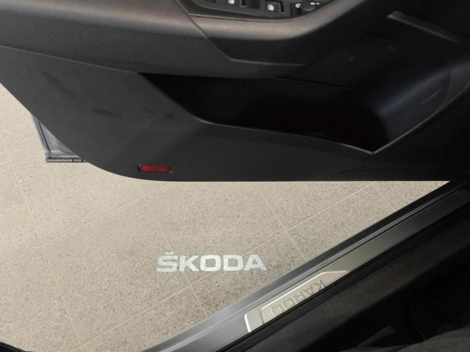 SKODA Karoq 2019