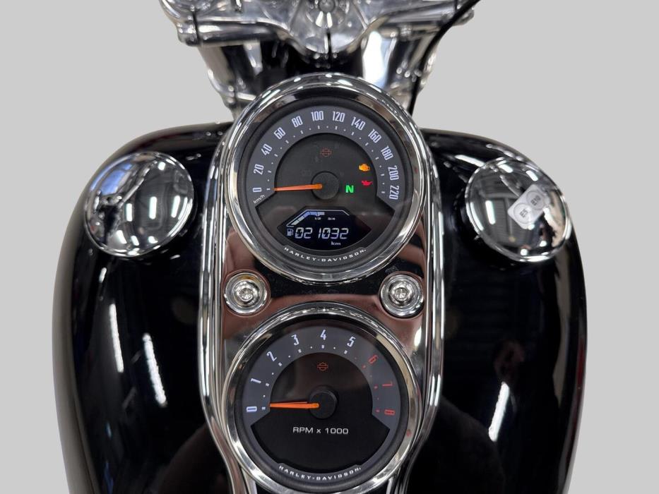 HARLEY-DAVIDSON SOFTAIL 2020