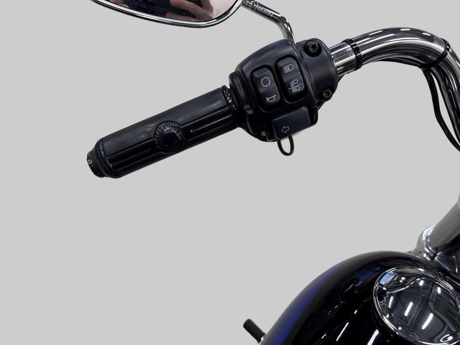 HARLEY-DAVIDSON SOFTAIL 2020