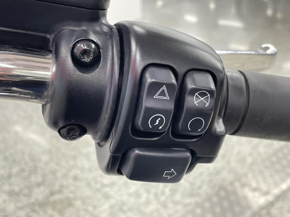 HARLEY-DAVIDSON SOFTAIL 2021