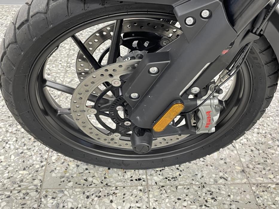 TRIUMPH TIGER 2023
