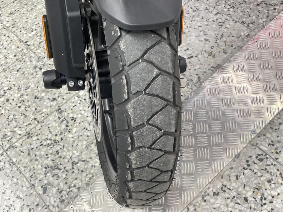 TRIUMPH TIGER 2023