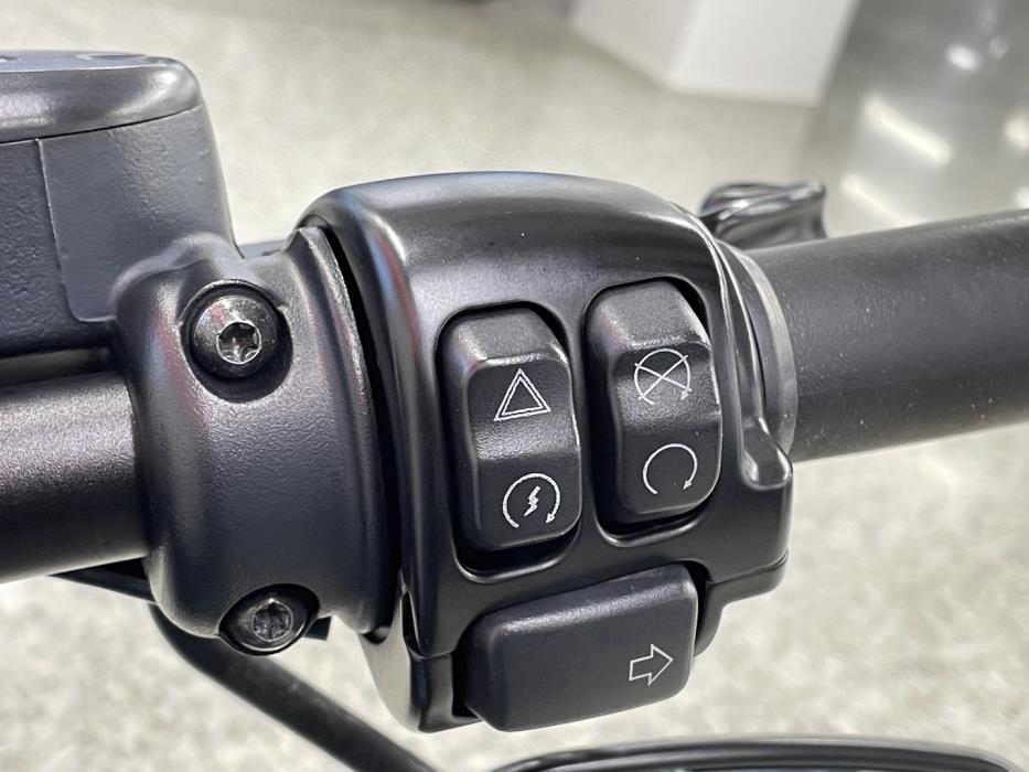 HARLEY-DAVIDSON SPORTSTER 2018