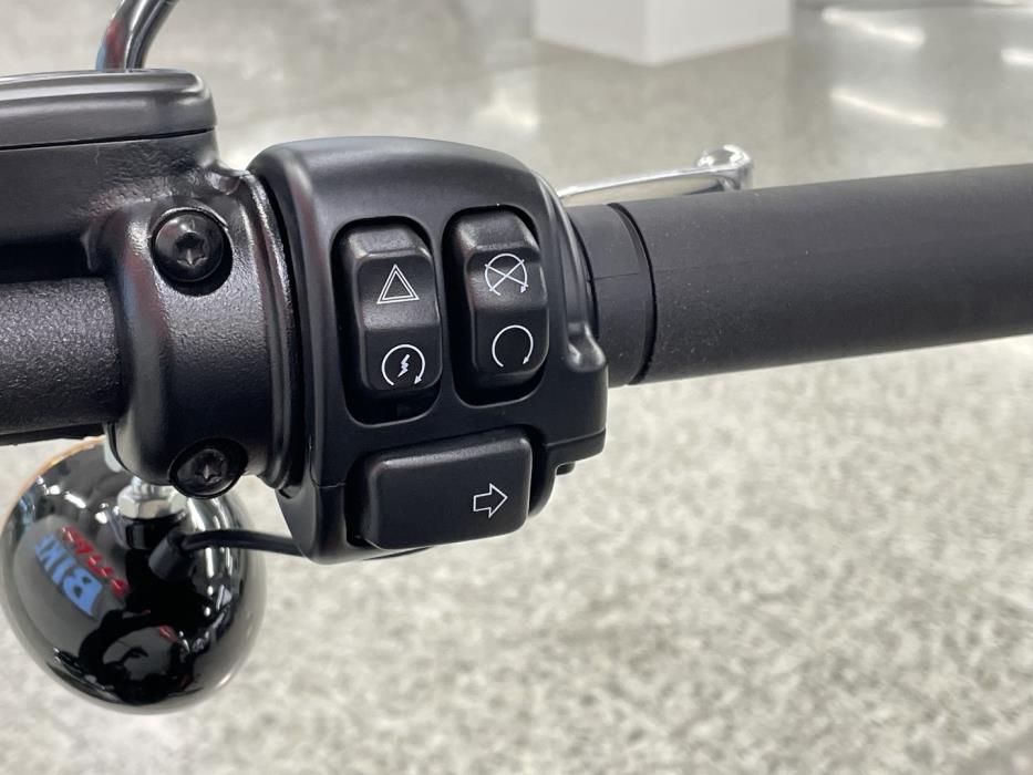 HARLEY-DAVIDSON SOFTAIL 2023