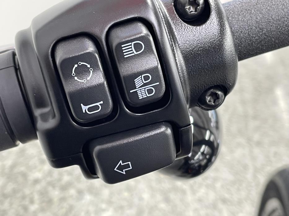 HARLEY-DAVIDSON SOFTAIL 2023