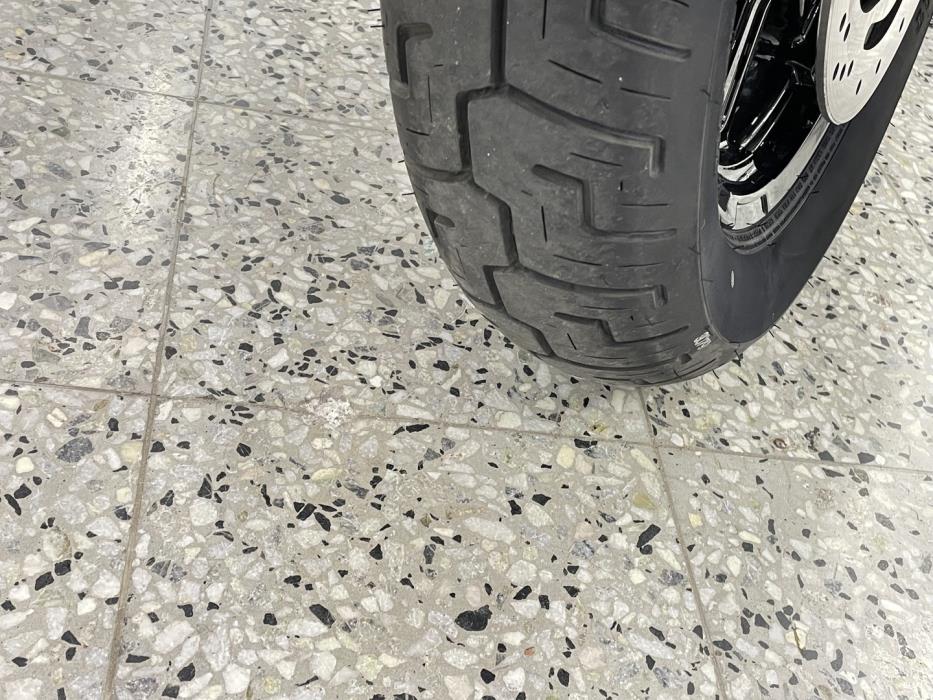 HARLEY-DAVIDSON SOFTAIL 2023