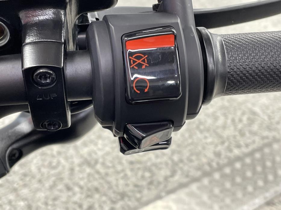 HONDA REBEL 2019