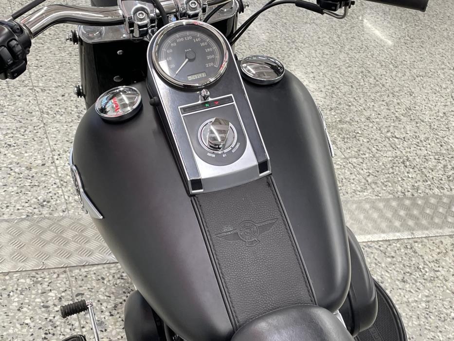 HARLEY-DAVIDSON SOFTAIL 2010