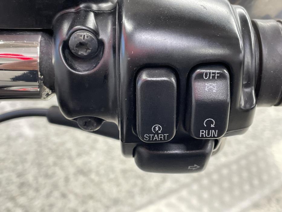 HARLEY-DAVIDSON SOFTAIL 2010