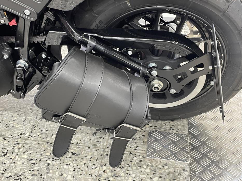 HARLEY-DAVIDSON SOFTAIL 2021