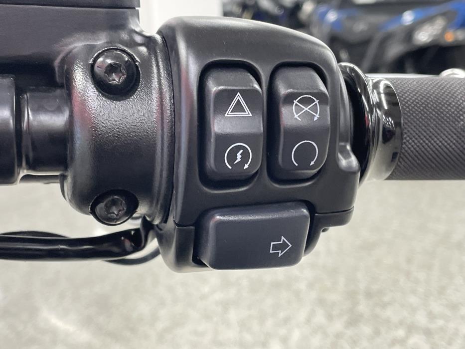 HARLEY-DAVIDSON SOFTAIL 2021