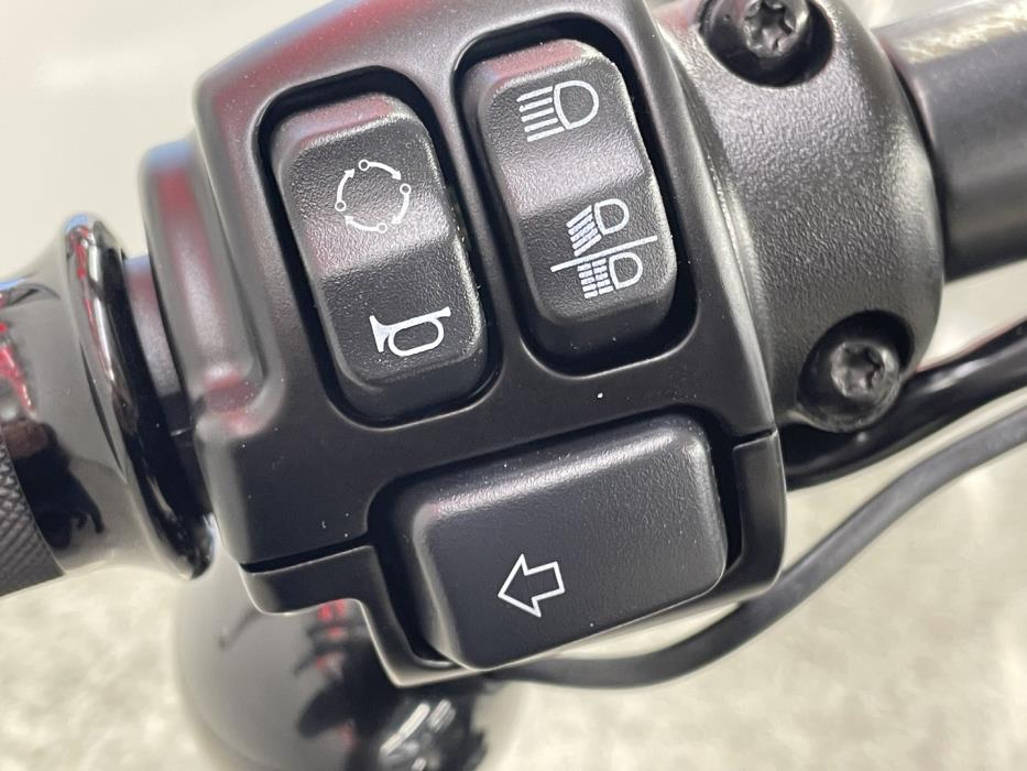 HARLEY-DAVIDSON SOFTAIL 2021