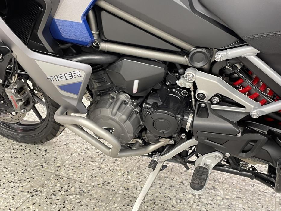 TRIUMPH TIGER 2025