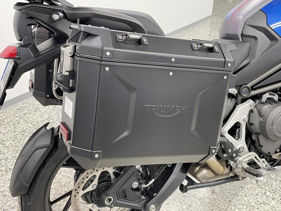 TRIUMPH TIGER 2025