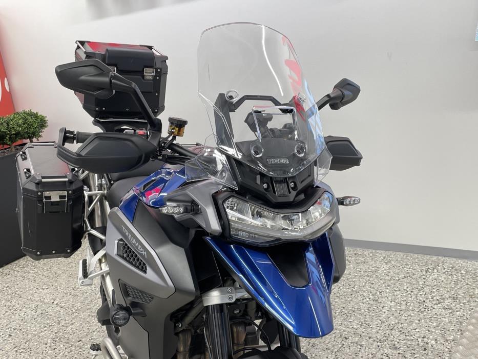 TRIUMPH TIGER 2025