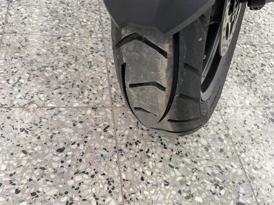 TRIUMPH TIGER 2025
