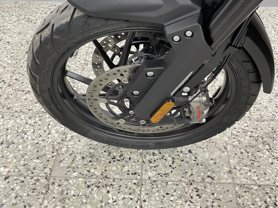 TRIUMPH TIGER 2025