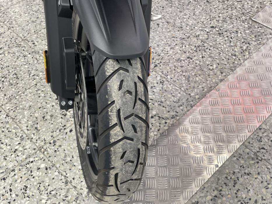 TRIUMPH TIGER 2025