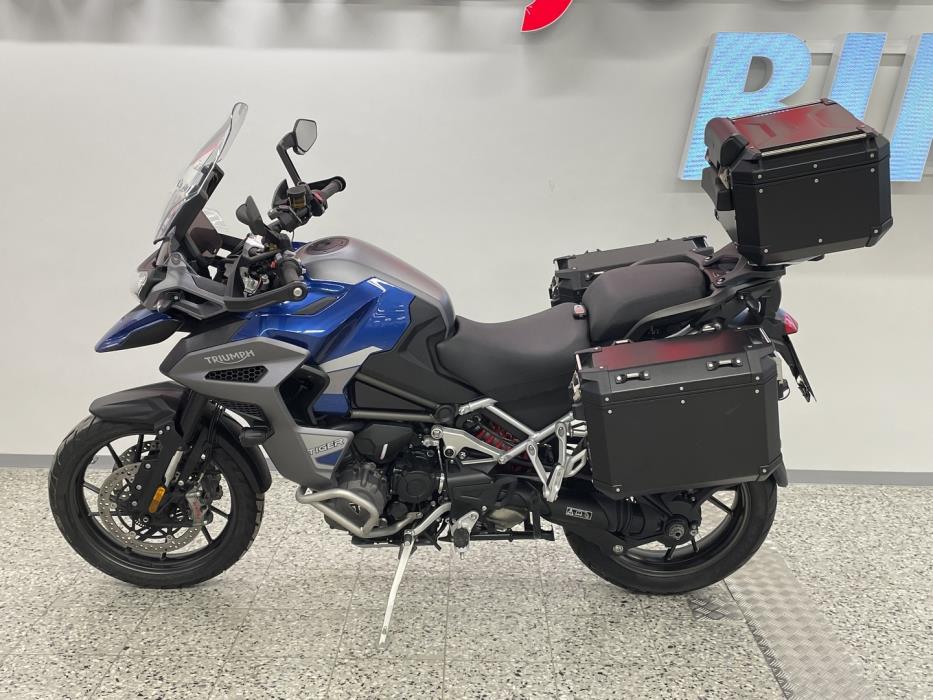 TRIUMPH TIGER 2025