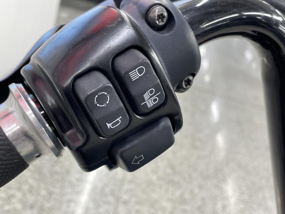 HARLEY-DAVIDSON SPORTSTER 2019