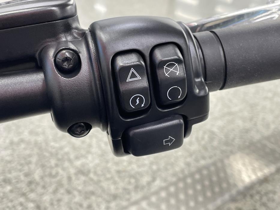 HARLEY-DAVIDSON SOFTAIL 2022