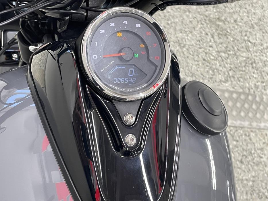 HARLEY-DAVIDSON SOFTAIL 2022