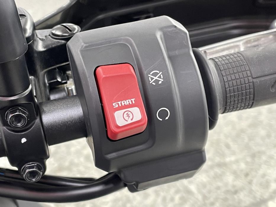 HONDA XL 2024