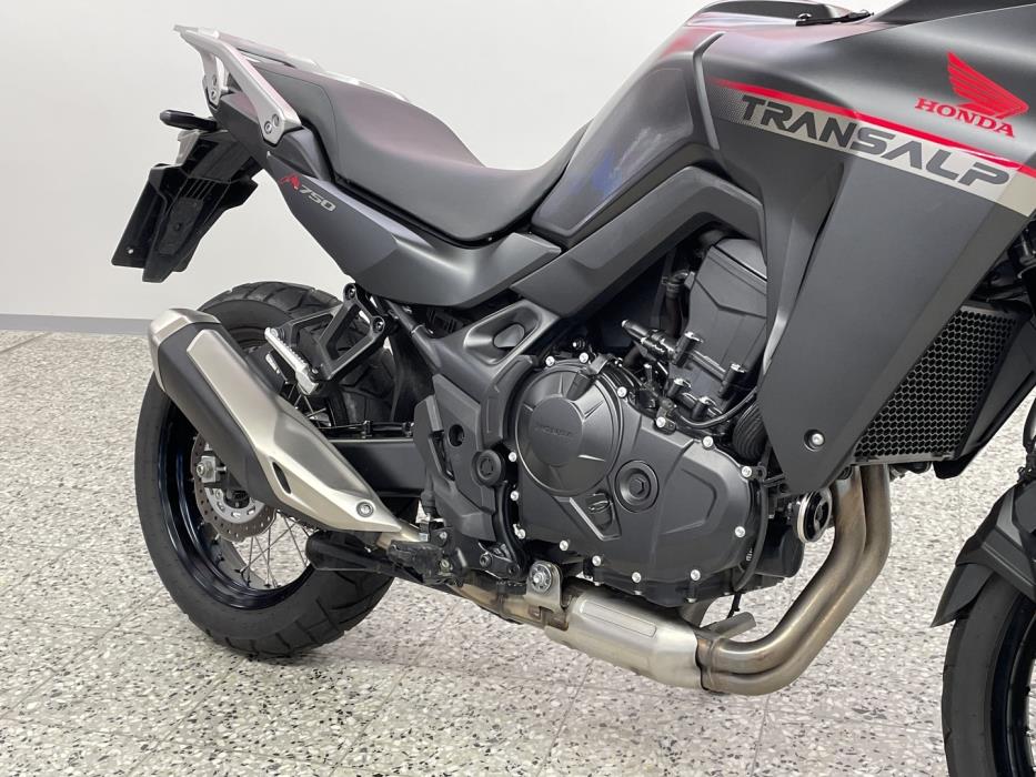 HONDA XL 2024