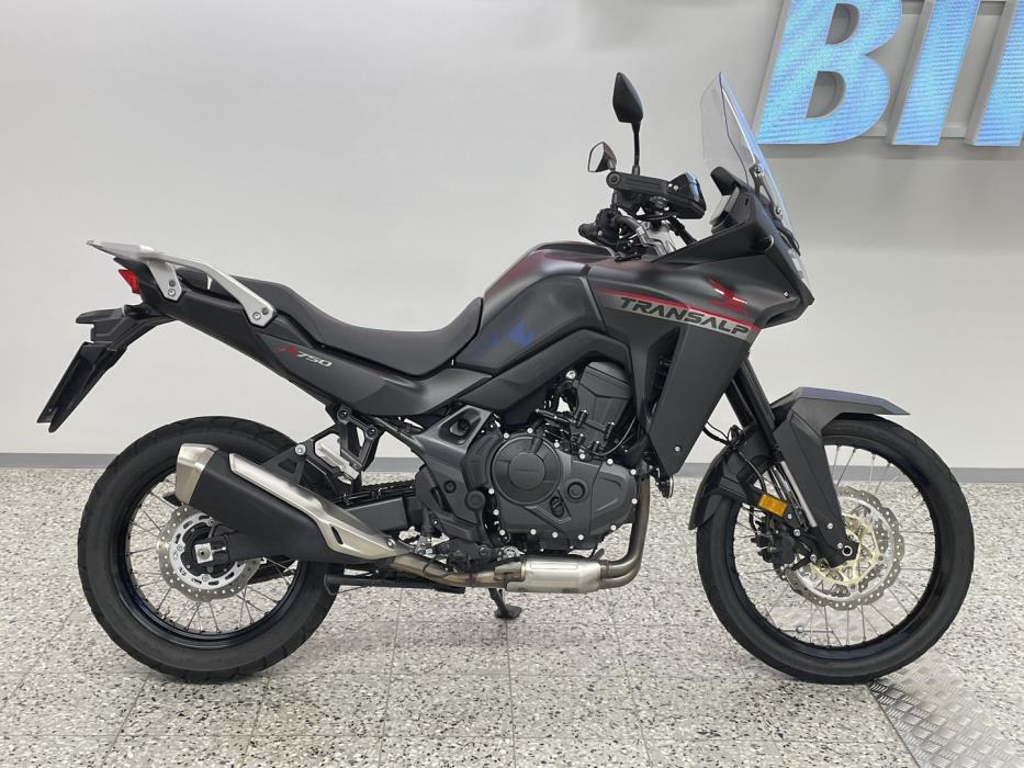 HONDA XL 2024