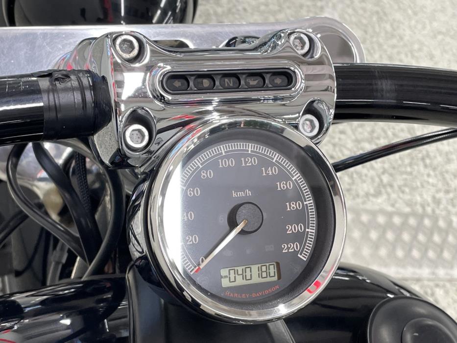 HARLEY-DAVIDSON Softail 2014