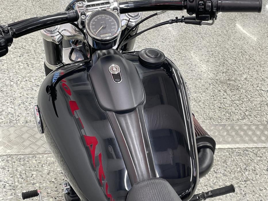 HARLEY-DAVIDSON Softail 2014