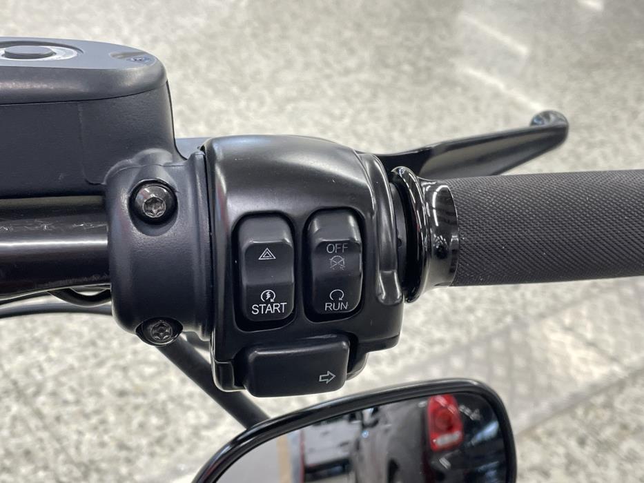 HARLEY-DAVIDSON SPORTSTER 2015