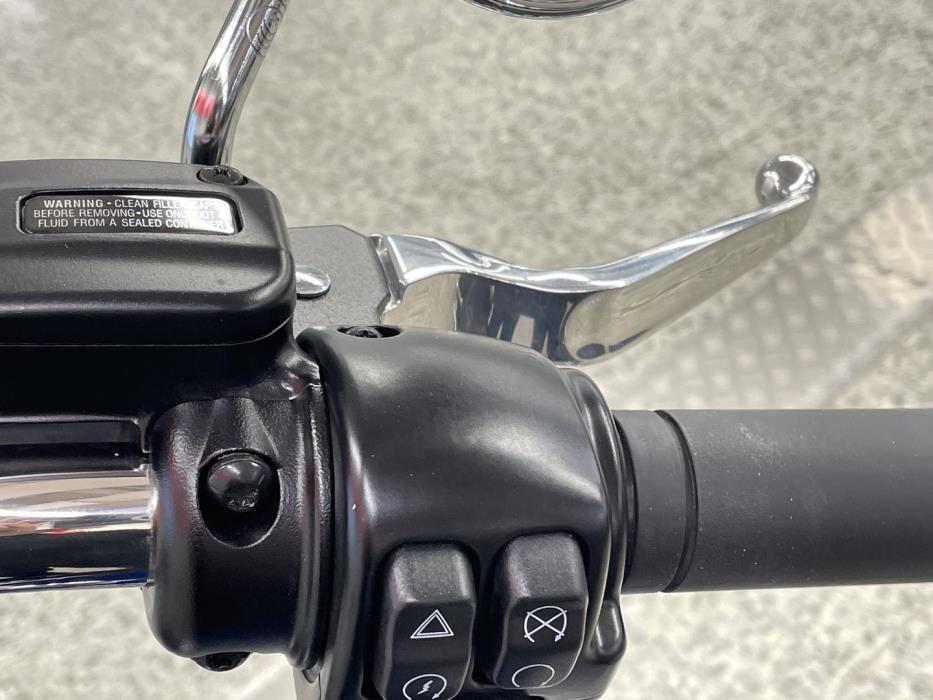HARLEY-DAVIDSON SOFTAIL 2023