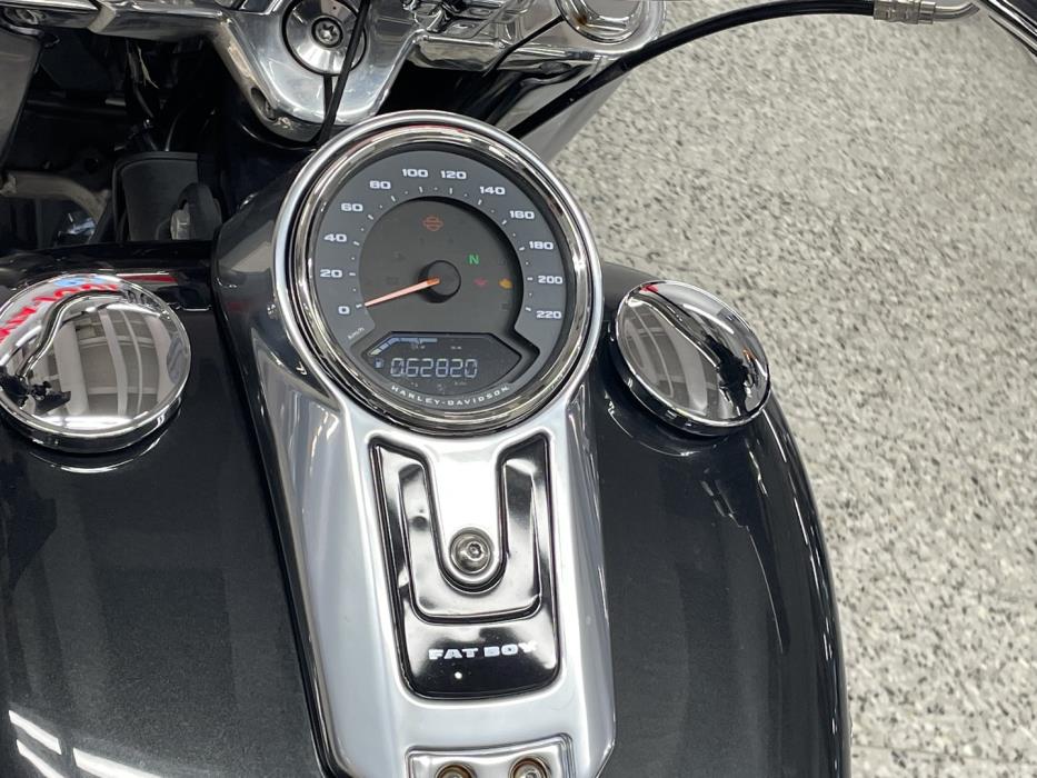 HARLEY-DAVIDSON SOFTAIL 2018