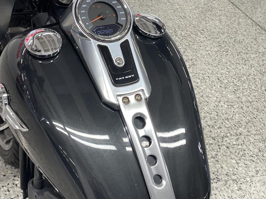 HARLEY-DAVIDSON SOFTAIL 2018