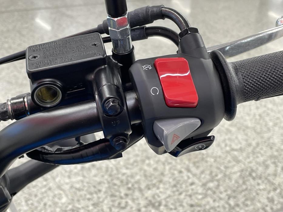 HONDA CL 2023