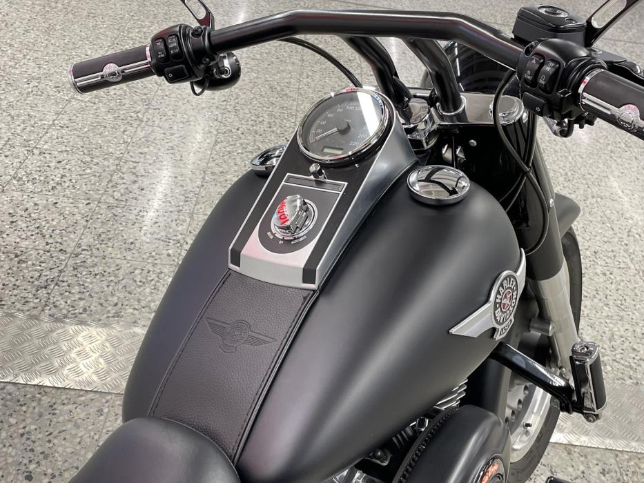 HARLEY-DAVIDSON SOFTAIL 2011