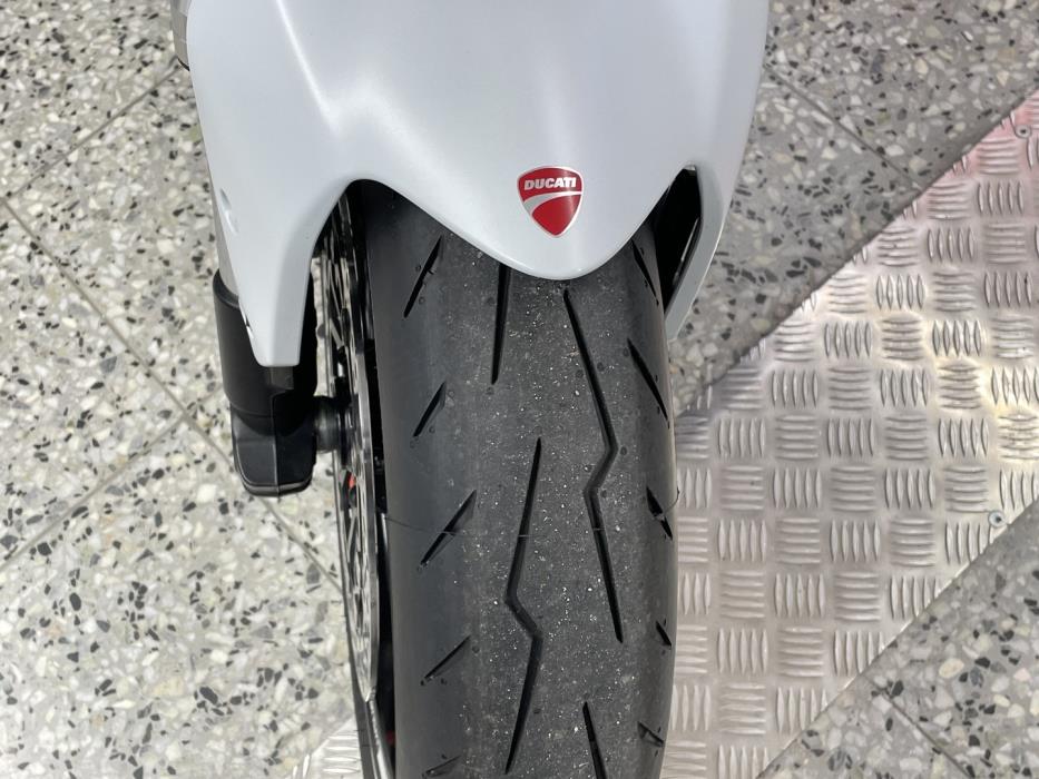 DUCATI MONSTER 2019