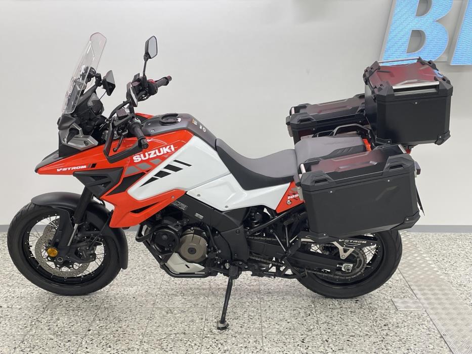SUZUKI DL 2020