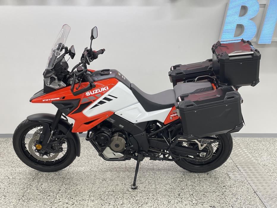 SUZUKI DL 2020