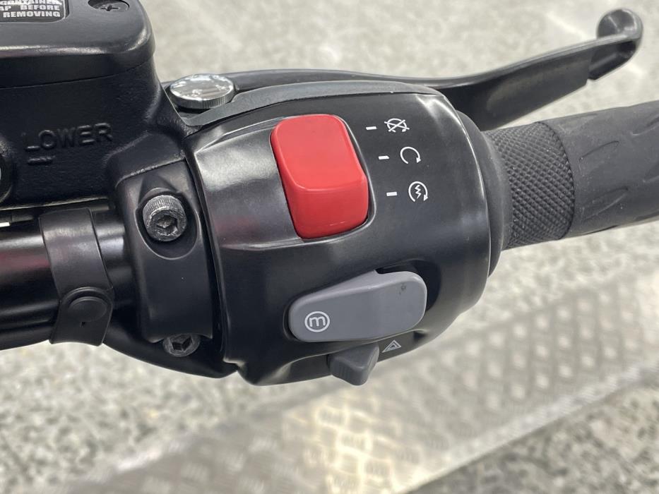 TRIUMPH BONNEVILLE 2019