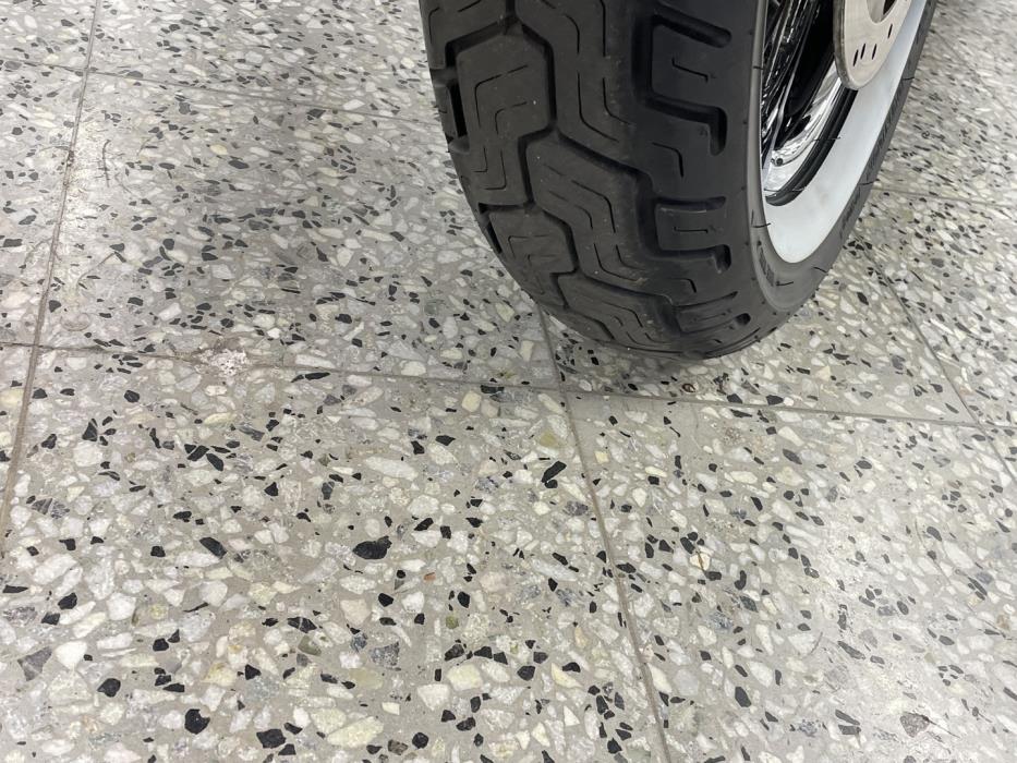 HARLEY-DAVIDSON SOFTAIL 2015