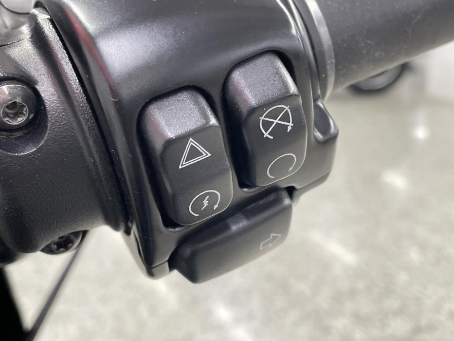 HARLEY-DAVIDSON SPORTSTER 2018